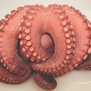 pulpo