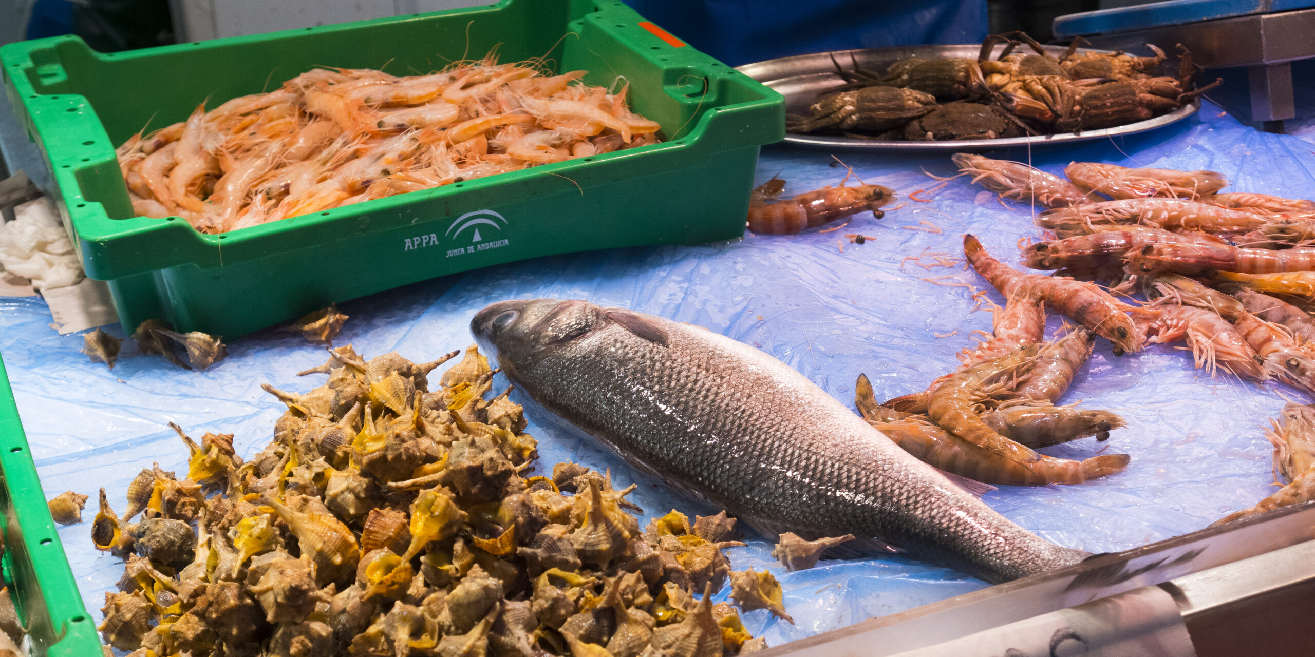 Fresh Seafood at Central Food Market
